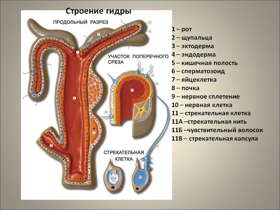 Кракен ссылка купить соли